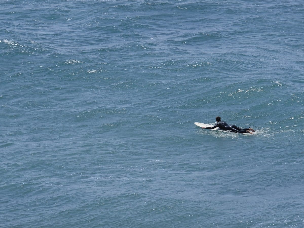 Surfboard rentals in Ericeira