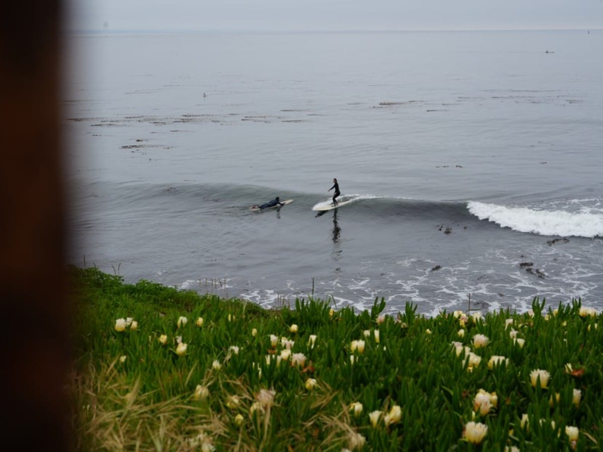 A surfer on Steamer Lane, Santa Cruz