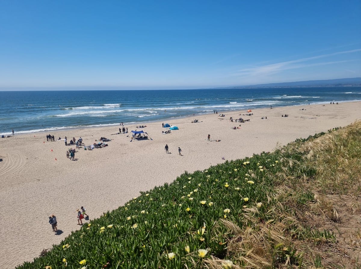 Manresa Beach in 2025