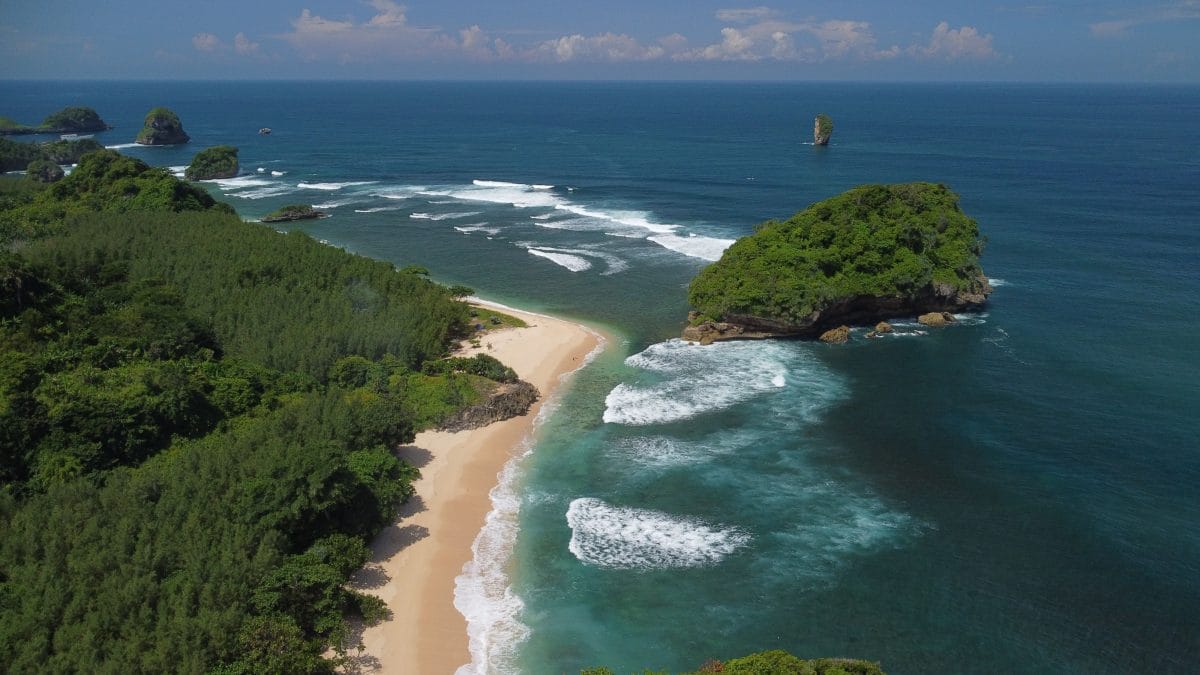 The Ultimate Guide to Surfing in Java - Surf Atlas