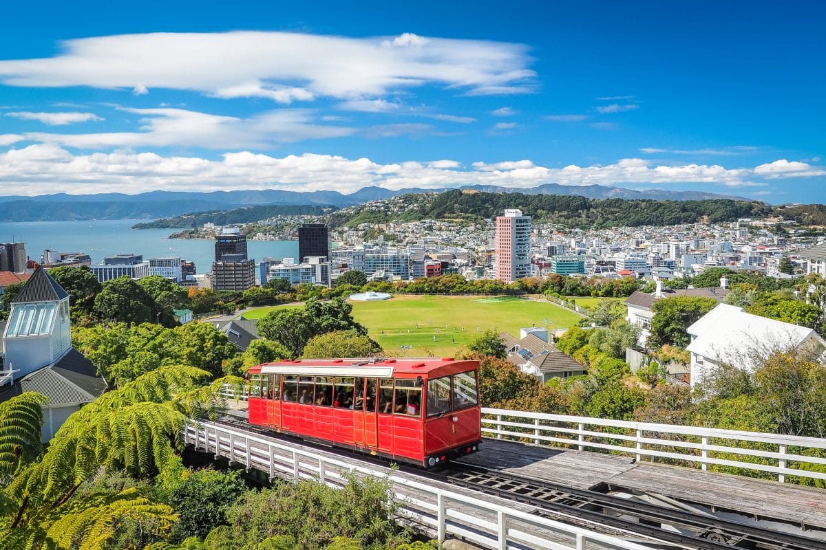 Wellington surf