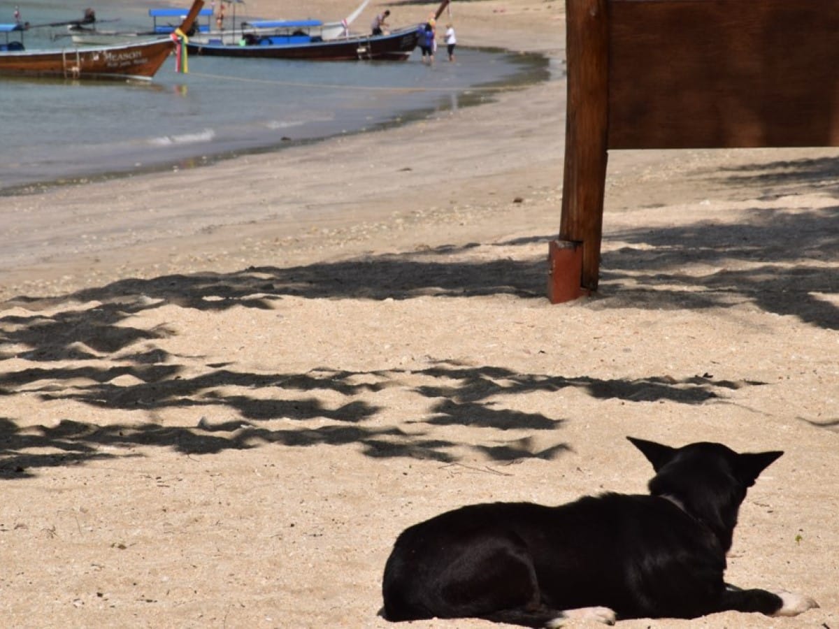 Beachfront hotels in Thailand