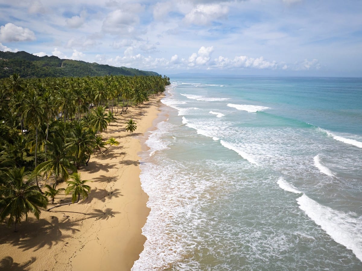 Dominican Republic Surf