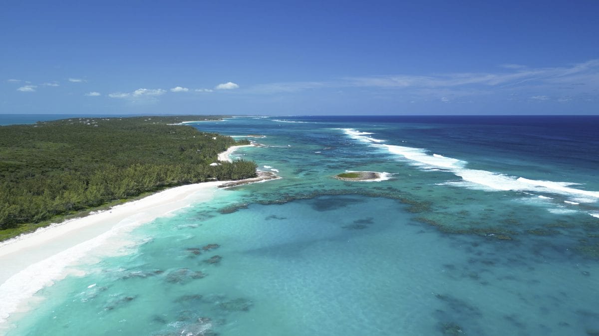 bahamas surfing