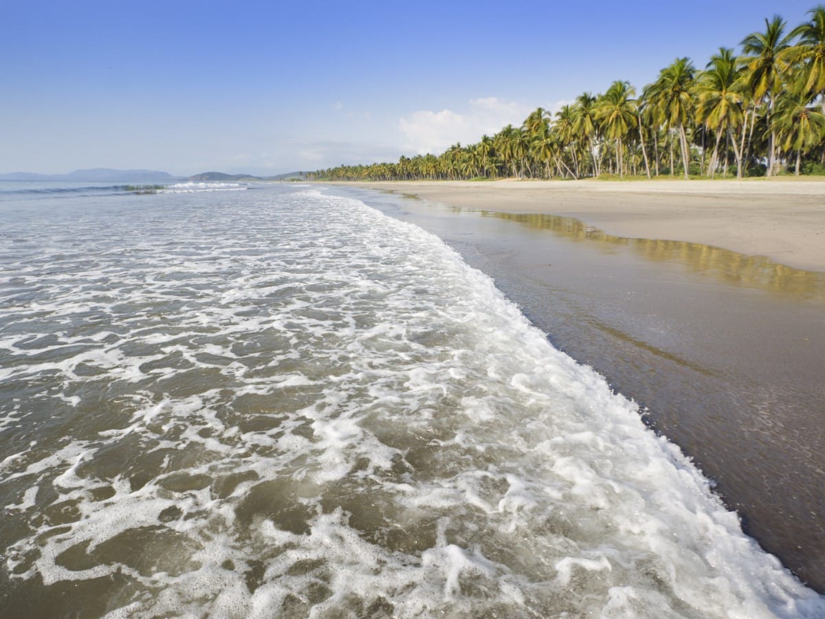 A beach around Ixtapa, south of La Saladita