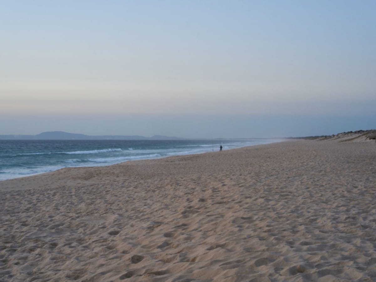 Comporta surf