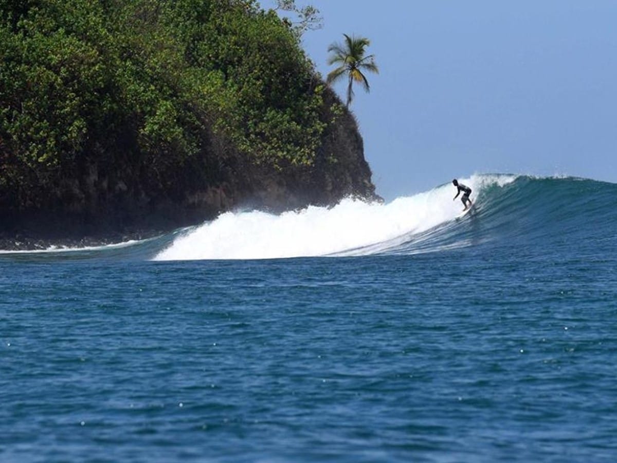 Surfer Paradise Surf Camp
