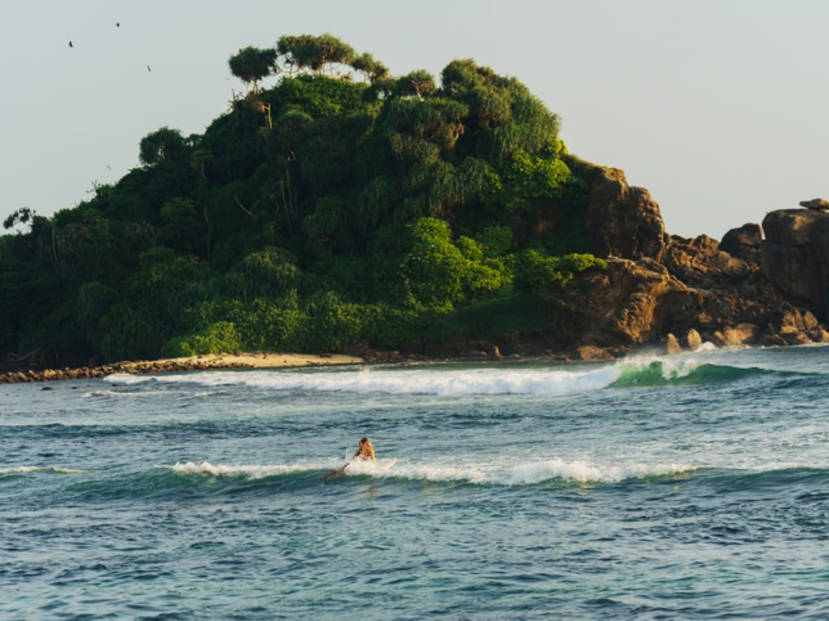 Weligama surf camps