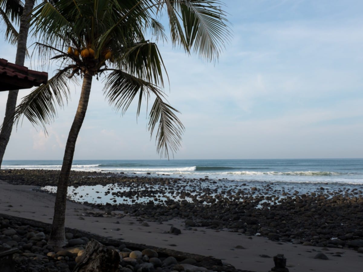 Medewi surf camps