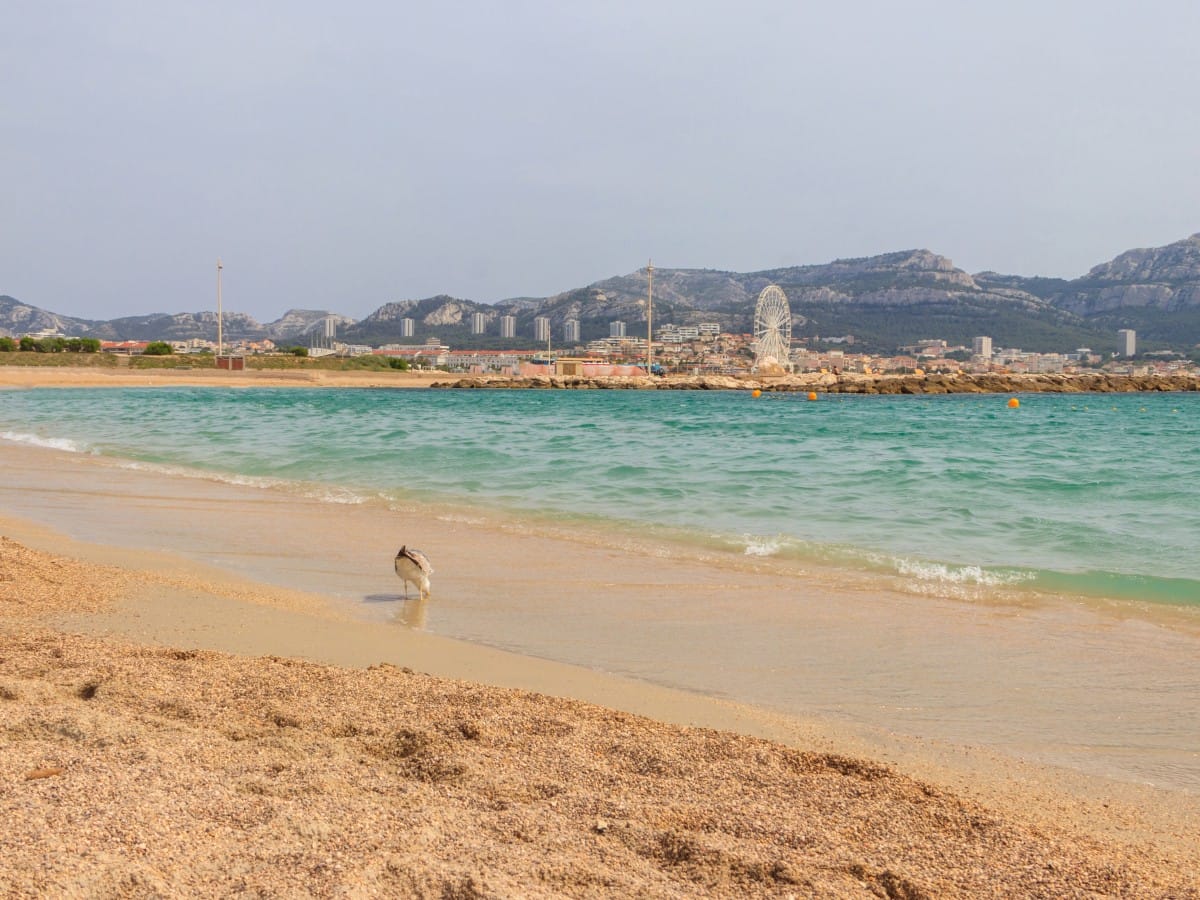 Prado beach in Marseille