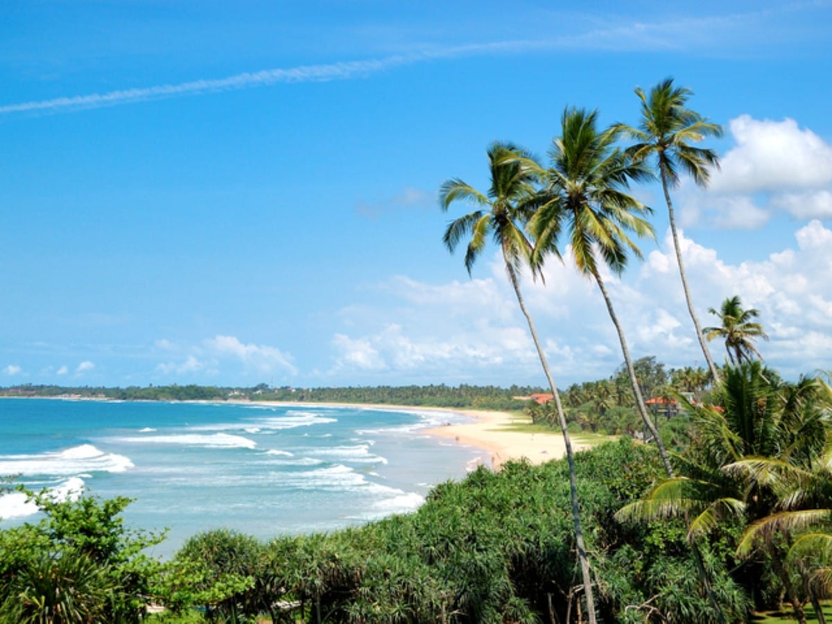 Bentota surf