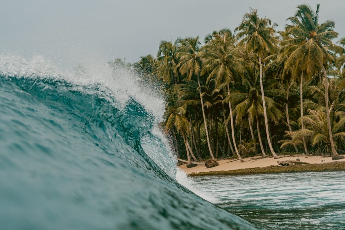 Mentawai Surf Charters