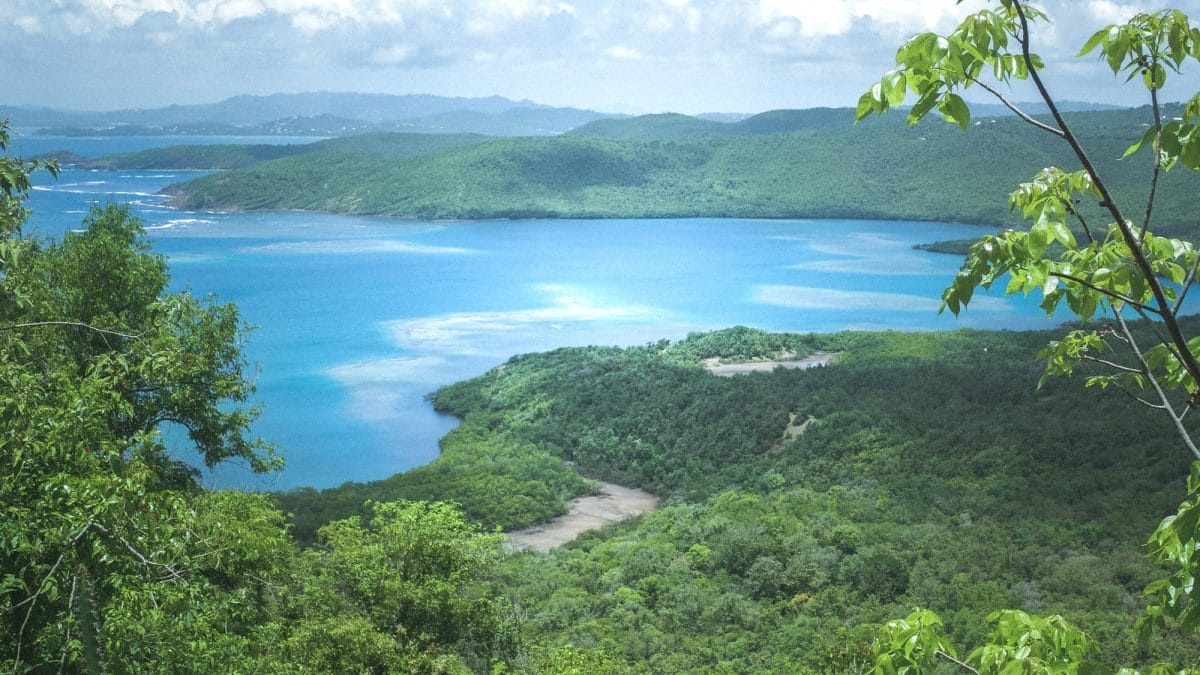 Panoramic view from the top of an island's hill (Martinique)