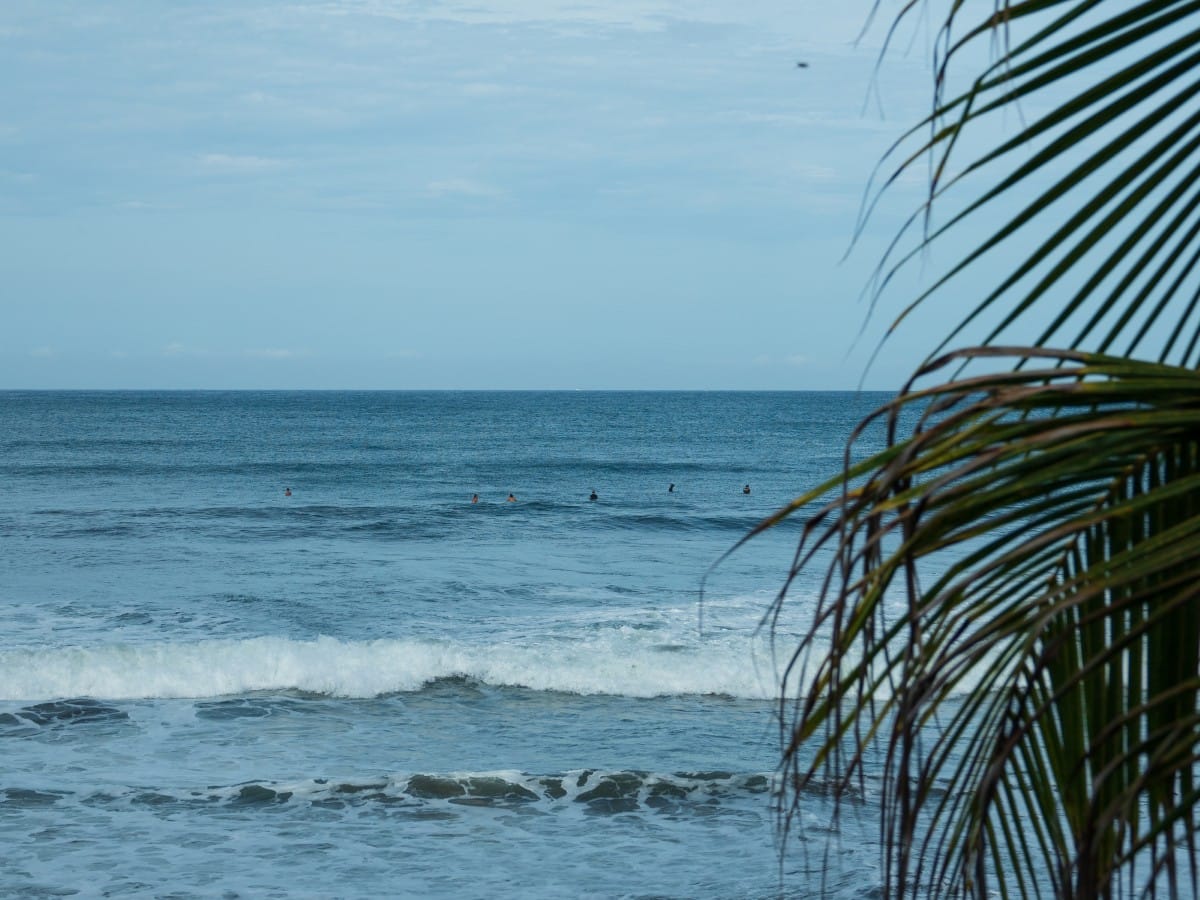 Tofo surf