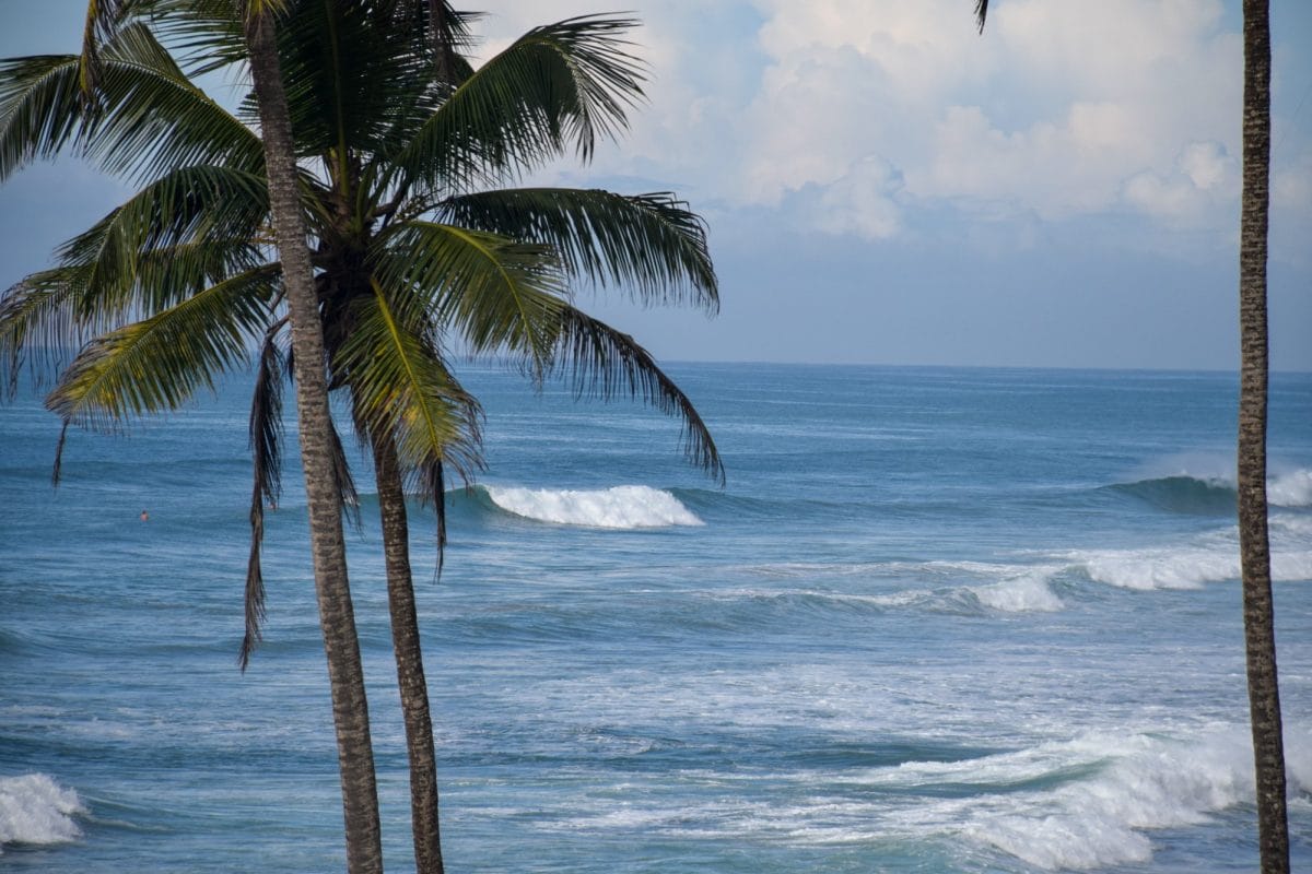Surfing in Sri Lanka guides