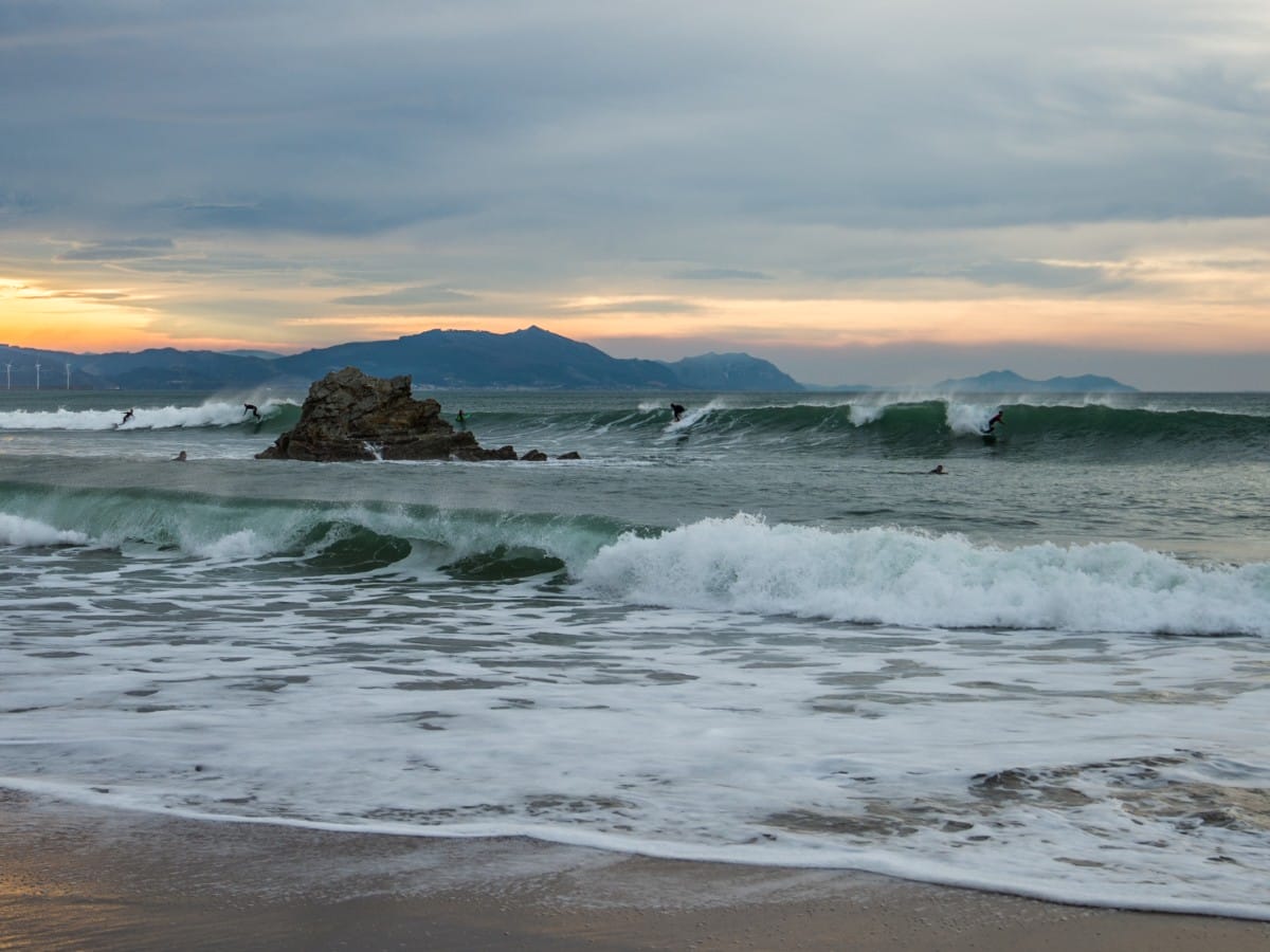 Ericiera surf