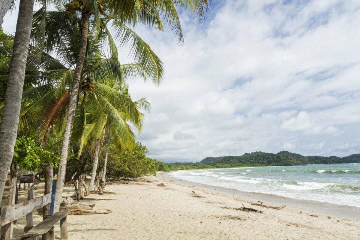 An idyllic surf beach in Nosara, Costa Rica
