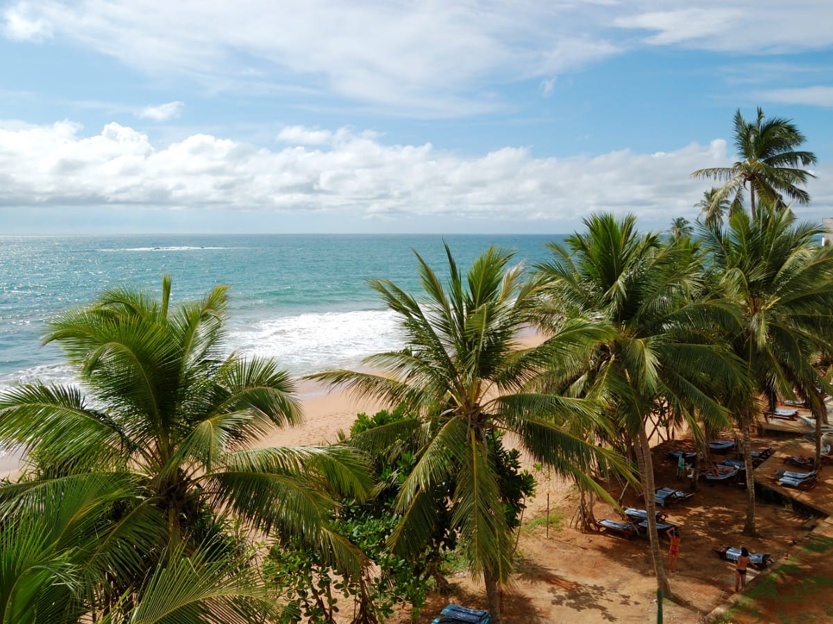 the beach in Bentota, Sri Lanka