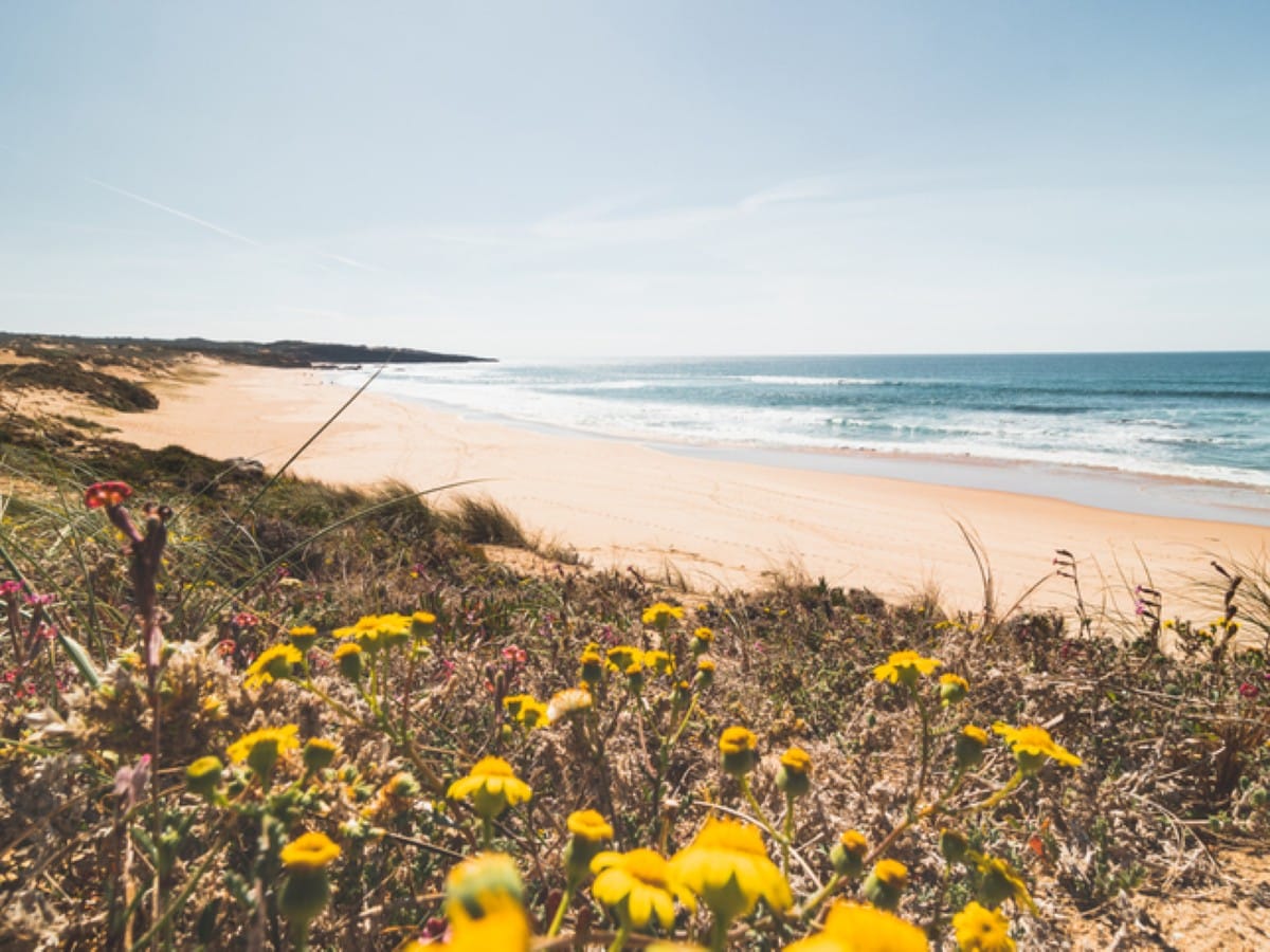 Aivados Beach with flowers behind