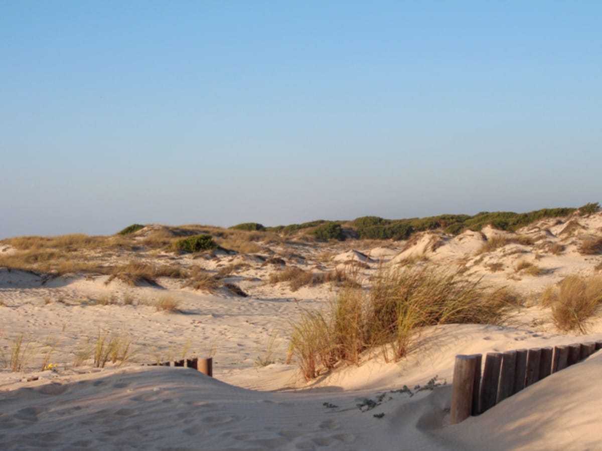 Dunes at São Jacinto Beach in Portugal